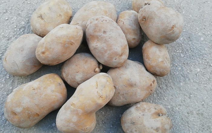 Patate